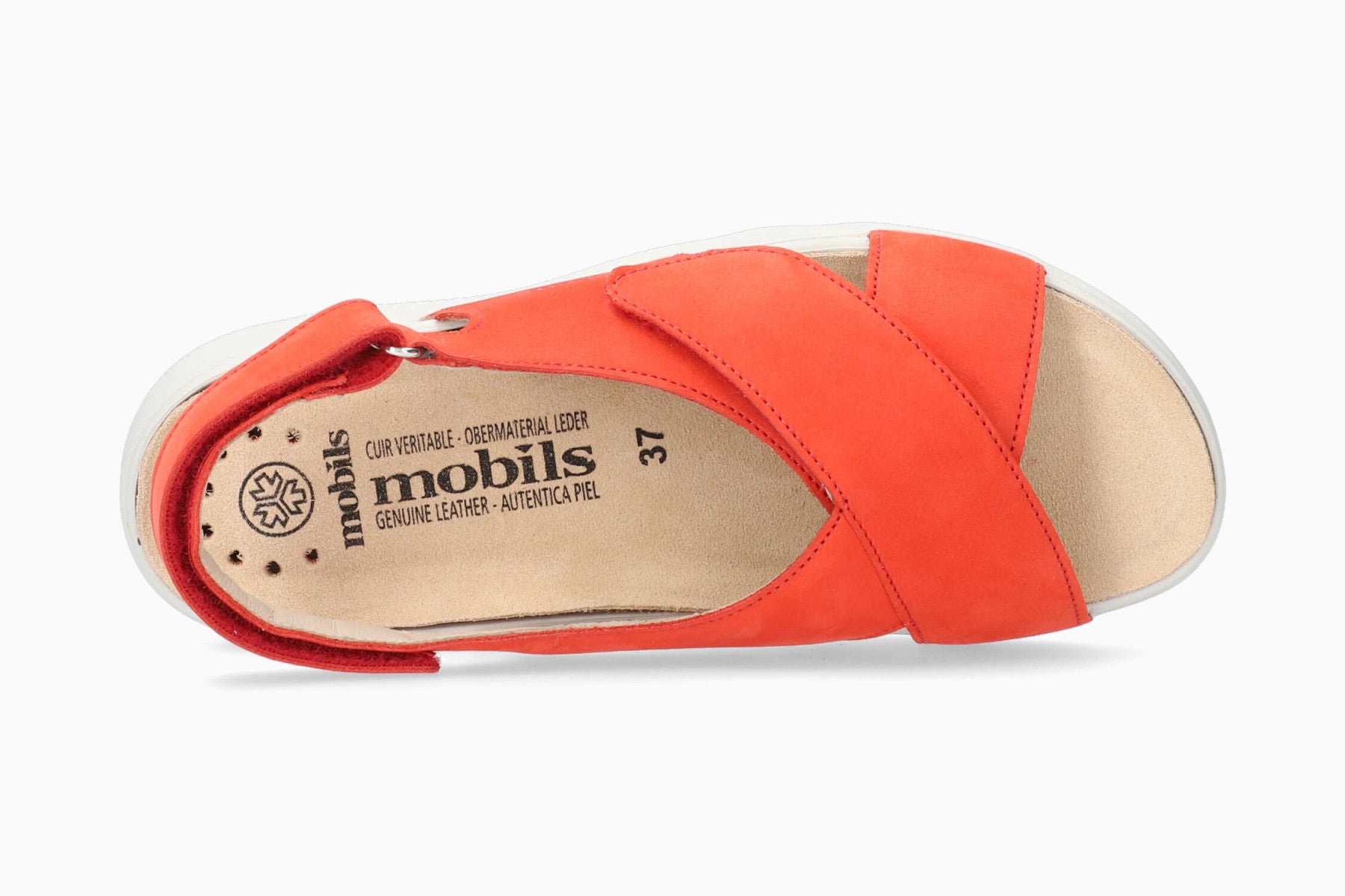 Malorie - Cranberry 6962